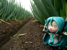 Nendoroid Concours - Photo num�ro 73