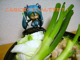 Nendoroid Concours - Photo num�ro 213