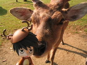 Nendoroid Concours - Photo numéro 37