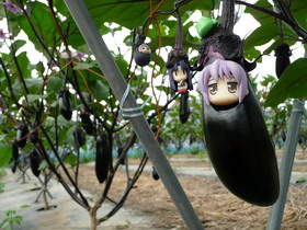 Nendoroid Concours - Photo numéro 88