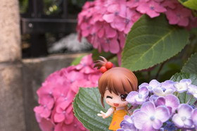 Concours Photo Wonder Hobby Life 10 160 Concours Photo Wonder Hobby Life 10 160