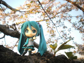 Concours Photo Wonder Hobby Life 10 290