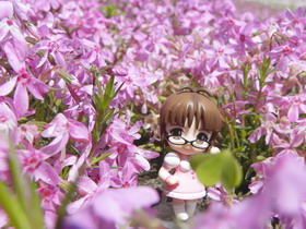 Concours Photo Wonder Hobby Life 10 368