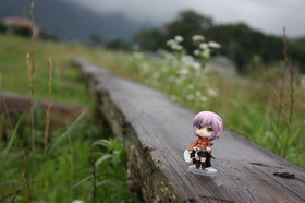 Concours Photo Wonder Hobby Life 10 391
