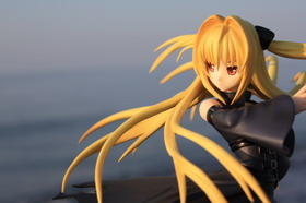 Concours Photo Wonder Hobby Life 10 496