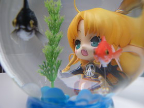 Concours Photo Wonder Hobby Life 10 548