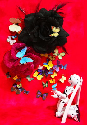 Concours Photo Wonder Hobby Life 10 618