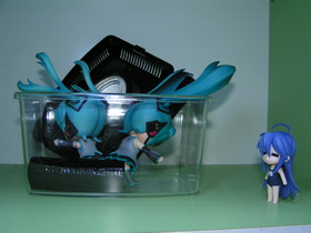 Concours Photo Wonder Hobby Life 10 641