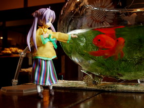 Concours Photo Wonder Hobby Life 10 656