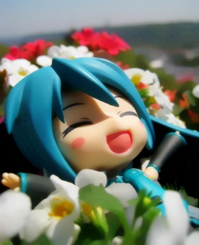 Concours Photo Wonder Hobby Life 10 664