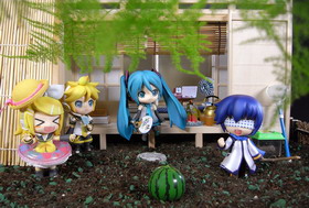 Concours Photo Wonder Hobby Life 10 694
