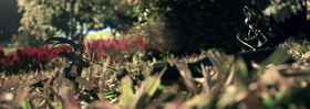 Photo 010