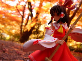 Photo 052