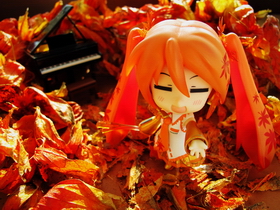 Photo 159