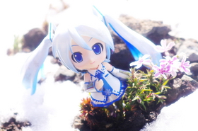Photo 175