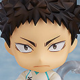 Hajime Iwaizumi